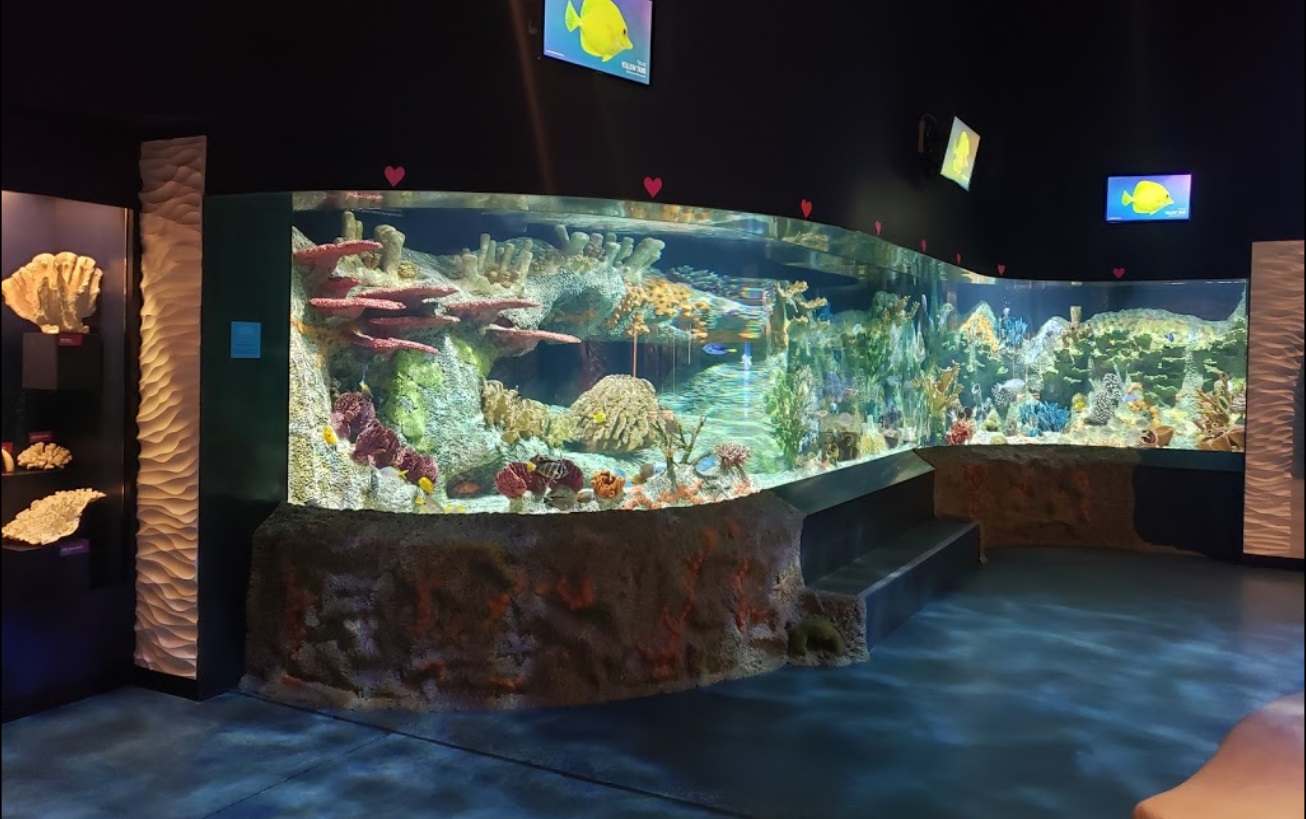 aquarium large view